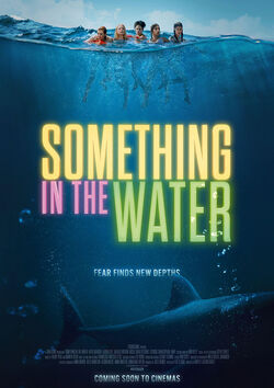 Filmplakat zu Something in the Water