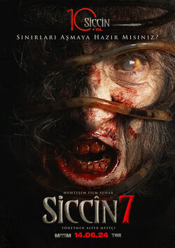 Filmplakat zu Siccin 7